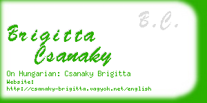 brigitta csanaky business card